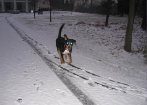 02 snowned in on NYE.JPG