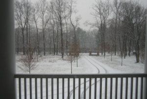 04 snowned in on NYE.JPG