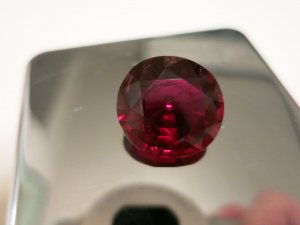 IMG_1299.JPG