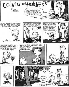 calvinandhobbestrash.jpeg calvinandhobbestrash.jpeg