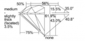 317 proportions.png