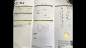 image1 (1).PNG