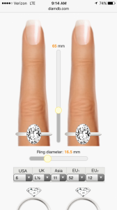 oval comparison.jpg.PNG