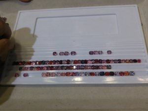 20170723_145153.jpg