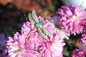 Dragonfly pin.jpg