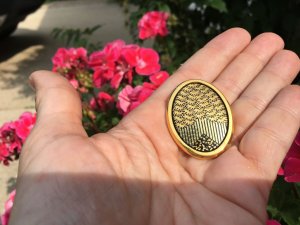 IMG_2529[1].jpg