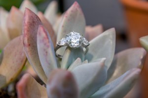 Orchid-0495.jpg