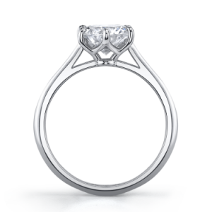 Vatche website - 1513 Felicity.png