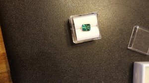 tourmaline jeff white whitebackground.jpg tourmaline jeff white whitebackground.jpg