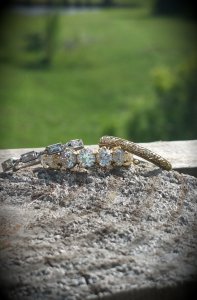 20170801_101141.jpg