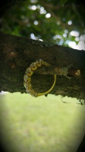 20170801_100431.jpg