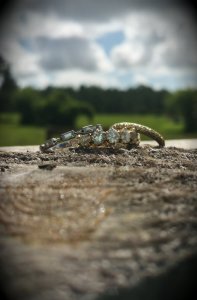 20170801_101316.jpg