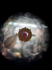 20170801_134946.jpg