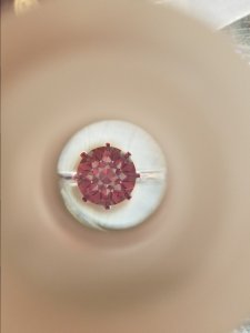 20170801_134741.jpg