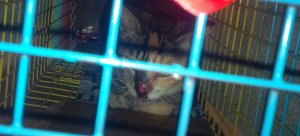IMG_20170801_231522.jpg