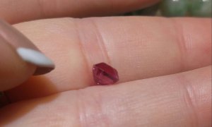 20170730_140330-1.jpg