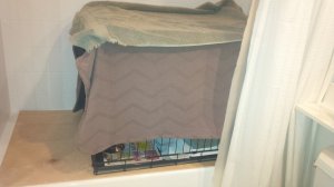 IMG_20170803_202010.jpg