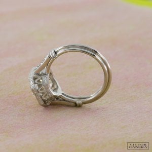 new-design-PJ-2.jpg