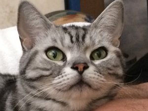 IMG_1839[1].JPG