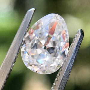 antique pear.jpg