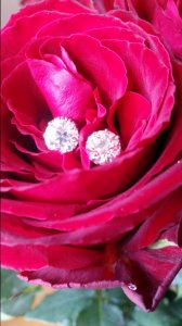 20170810_084210.jpg