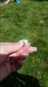 20170810_124427.jpg