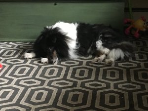 IMG_2458.JPG