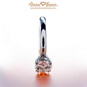 BGD%20-%20Split%20Prong%20Grace%205507W18-2.jpg