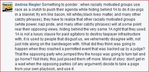 CharlottsvilleComment.JPG