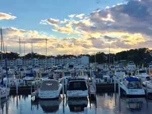 IMG_3097.jpg