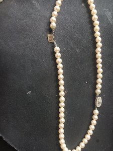 IMG_3919.JPG