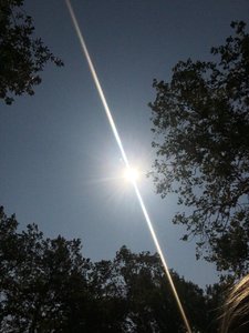 IMG_3884.JPG
