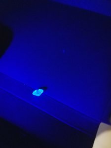 20170825_152100.jpg