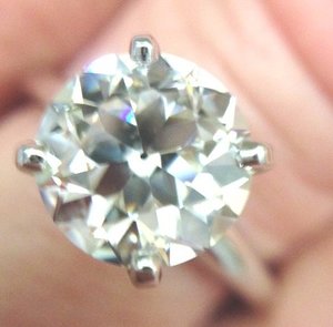 photo cropped.jpg
