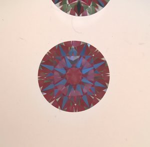 IMG_5904.JPG