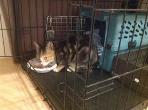 IMG_0336.JPG