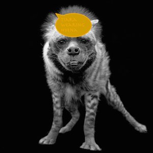 hyenawearingtiara.jpg