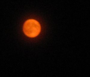 orangemoon.JPG