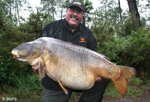 worldsbiggestmirrorcarp.jpg