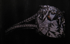 MarthaStewart-TiffanyCushionSplit.jpg