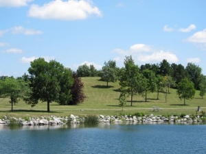 thepark.jpg