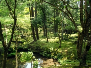 Kyoto%20-%20Day%203:%20Kokedera,%20Suzumushidera,%20Kiyomizudera%20-%20009.jpg
