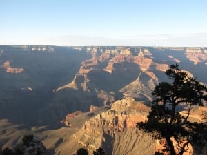 IMG_1670_0.jpg