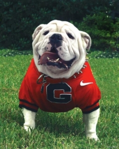 uga71.jpg