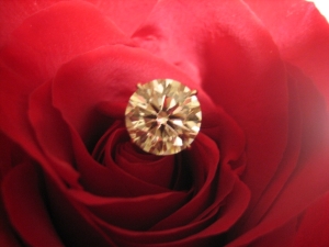 flower1235.jpg