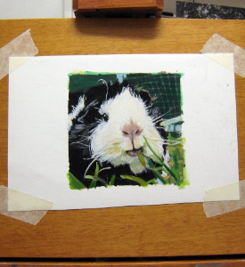 Guinea%20Peeeeg,%20cf.jpg