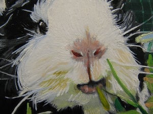 Guinea%20Peeeeg,%20close%20up.jpg