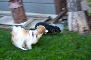 Coco,%20Kola%20and%20Wangja%20-%2027.jpg