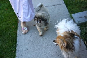 Coco,%20Kola%20and%20Wangja%20-%2091.jpg