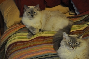 DSC_0017.jpg DSC_0017.jpg
